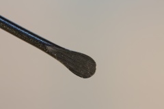 DT-1275