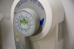 DT_Image_Vet_70_radiography