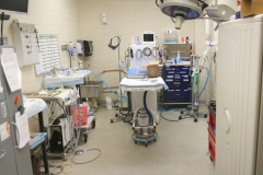 DT_dental_suite_BG