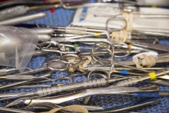 DT_dental_tools_BG
