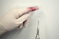 DT_hand_cut